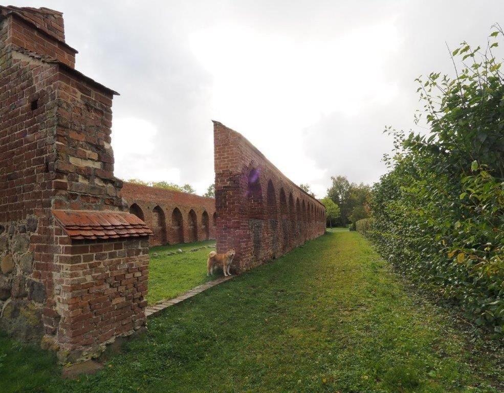 Klosterblick Bad Doberan Esterno foto